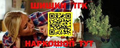стаф Малгобек