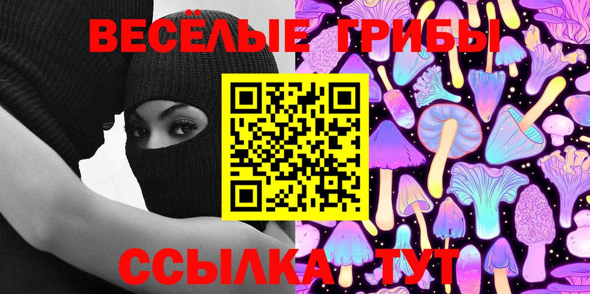 как найти закладки  Вход с VPN  Волгоград  Псилоцибиновые грибы Psilocybine cubensis 