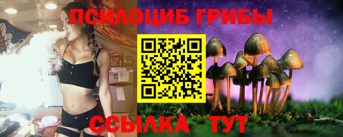 Псилоцибиновые грибы Cubensis Волгоград